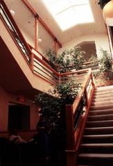 Atrium, KPFA office, Berkeley CA, 1992