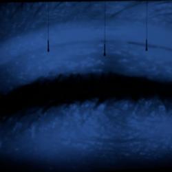 Projection image of an eye lid during performance of "Half a Bit of Nothing Integrated, for amplified objects, and live video" by Simon Steen-Anderson, OM 17