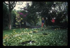 Carol Law and Conlon Nancarrow walking through Nancarrow's lush garden, 1969