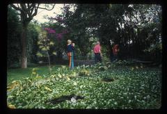 Carol Law, Conlon Nancarrow, and Charles Amirkhanian walking through Nancarrow's lush garden, 1969