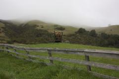 Green meadow with fence, cart, and fog shrouded hills, Woodside CA., (2010)