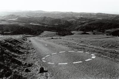 A landscape portrait of one of the roads leading to the Djerassi Resident Artists Program, Woodside, CA (1996)