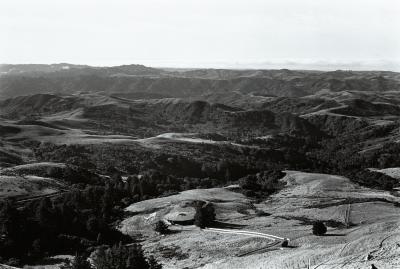 The landscape surrounding the Djerassi Resident Artists Program in Woodside, CA (1996)