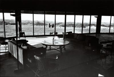 A landscape view from inside one of the buildings at the Djerassi Resident Artists Program, Woodside, CA (1996)