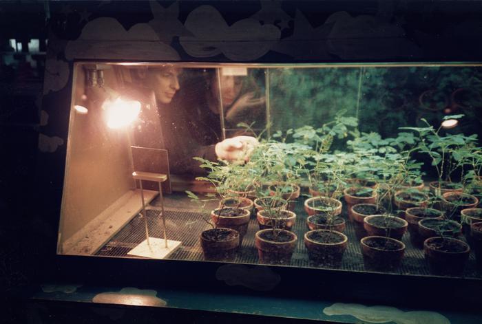 Brian Eno and Anthea Norman-Taylor looking at plants, San Francisco Exploratorium, 1987