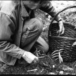 John Cage, kneeling next to basket, picking mushrooms (1989)